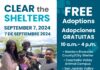 Free pet adoptions on Sept. 7 to honor Clear the Shelters