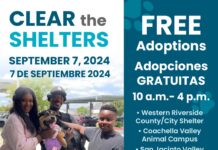 Free pet adoptions on Sept. 7 to honor Clear the Shelters