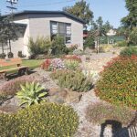 Learn the art of firescaping and defensible space, Part I