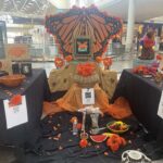 Temecula Valley Art League is hosting art exhibits at the Temecula Promenade Mall
