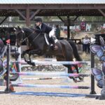 Show jumping event showcases proposed 2028 Olympic equestrian venue Galway Downs