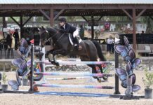 Show jumping event showcases proposed 2028 Olympic equestrian venue Galway Downs