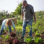 How to improve the soil of your garden organically