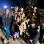Miniature horse rescued from well