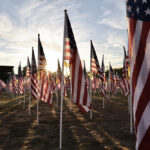 Flags fly for Veterans Day at Murrieta Field of Honor