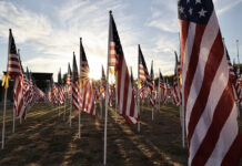 Flags fly for Veterans Day at Murrieta Field of Honor