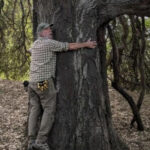 SAGE Society to host presentation ‘Oak Trees Are Keystone Trees’