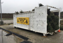 How to recycle Christmas trees for free
