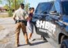 Sheriffs say they can help ICE in Trump’s mass deportation plan