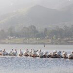 Lake Elsinore included in the 2024 Water Resource Development Act