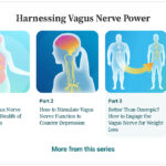 Better than Ozempic? How to engage the Vagus Nerve for weight loss