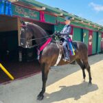 Craig wins UPHA Walk/Trot Show Pleasure National Championship