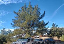 Hemet 4WD Club explores Thomas Mountain