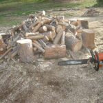 Firewood offers affordable, efficient heating for Anza residents