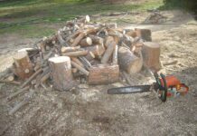 Firewood offers affordable, efficient heating for Anza residents