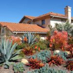 Save water, save money: Rancho Water offers free landscape evaluations