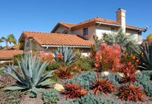 Save water, save money: Rancho Water offers free landscape evaluations