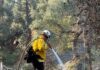 Soboba Fire Department assists with Los Angeles wildfires