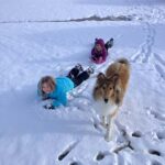 Anza pets play in the snow after storm sweeps through the Valley