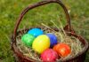 Valley-Wide Recreation offers Fun Run, Easter egg hunts in April