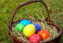Valley-Wide Recreation offers Fun Run, Easter egg hunts in April