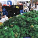 Fallbrook Avocado Festival happens April 13