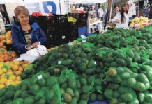 Fallbrook Avocado Festival happens April 13