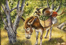 Art of the Avocado art competition winners announced