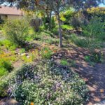 Lush landscapes with less water