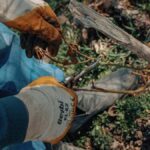 Rose Care FUNdamentals, April 2025