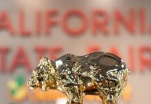 A Temecula winery wins California Winery of the Year