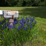 Mailbox Improvement Week arrives in time for spring cleaning