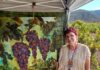 Warner Springs Wine and Art Trail to be held June 7-8