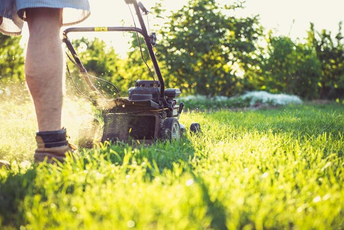 06-13-25-REGIONAL-Lawn & Garden Equipment Exchange-Cphoto
