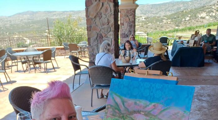 Art, wine and rustic vibes draw crowds to Warner Springs Wine and Art Trail