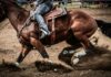 Clawson wins Barrel Racing at Jurupa Valley