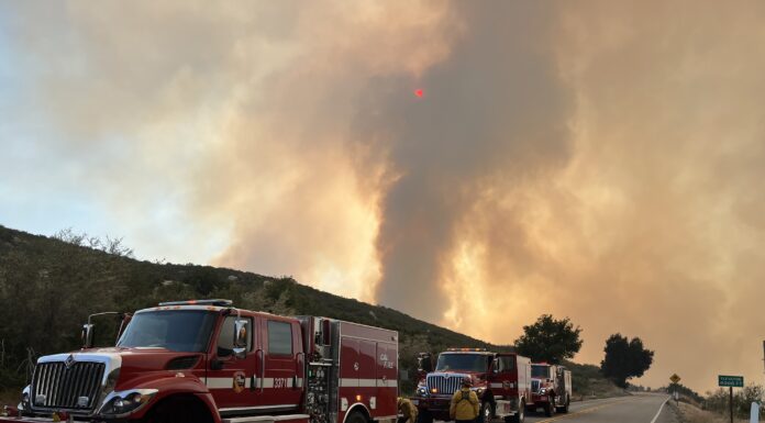 Wolf Fire grows to 2414 acres with 35% containment; Evacuation orders still in effect