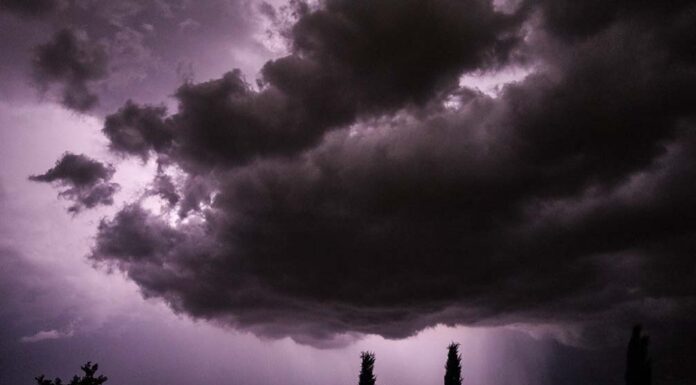 Monsoon season brings beauty and danger to the Anza Valley