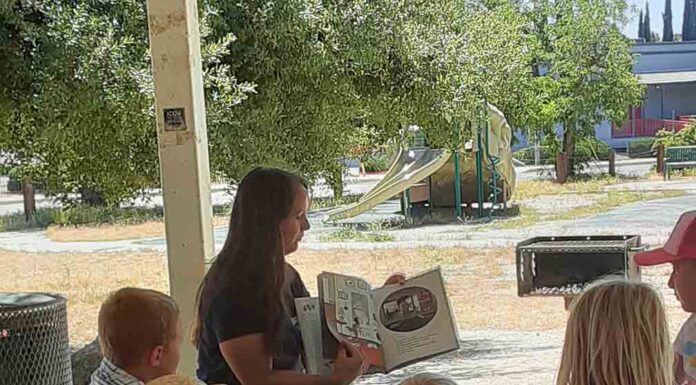 Pop-up Lunch at the Library held in Minor Park till July 15
