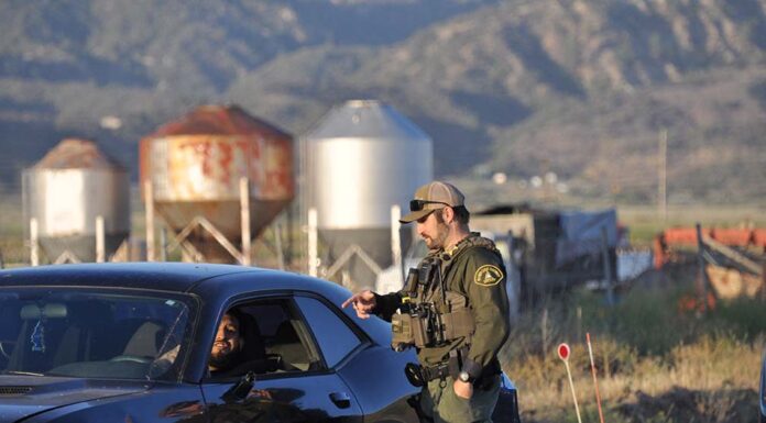 Sheriff’s Blotter
