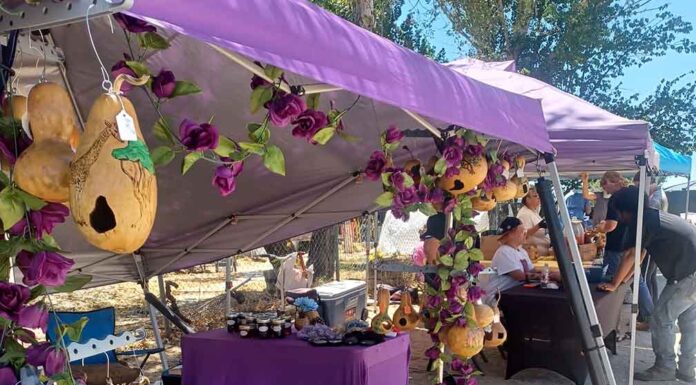 Bargains and smiles abound at Mr. Happy’s Vendor Fair