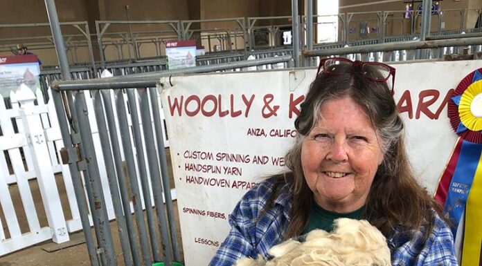 Squires takes home supreme champion ribbons for Angora goat and sheep fleece