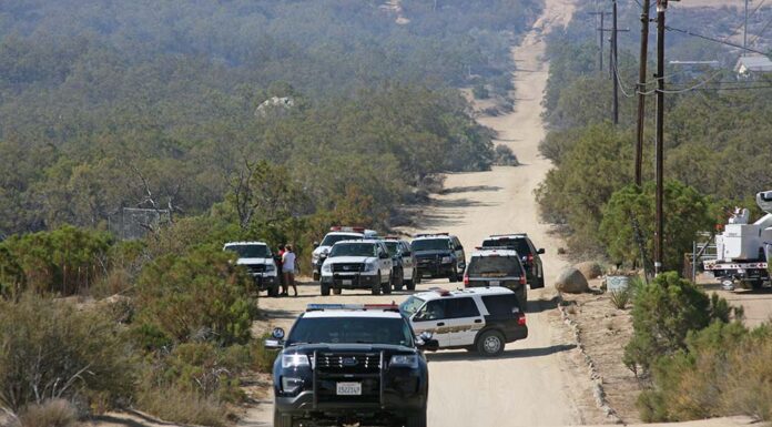 Sheriff’s Blotter