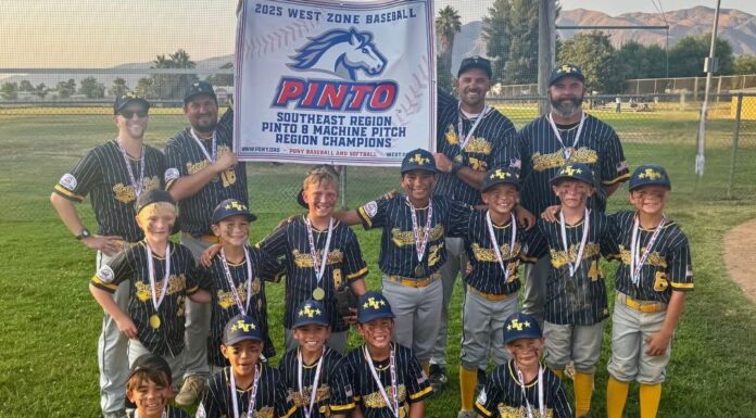 French Valley Pony 8U Machine Pitch All-Stars crowned Pinto Navy Region Champions