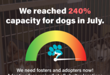 RivCo Department of Animal Services operating in State of Emergency