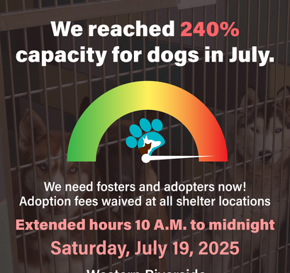 RivCo Department of Animal Services operating in State of Emergency