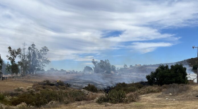Firefighters make quick work of rural vegetation fire