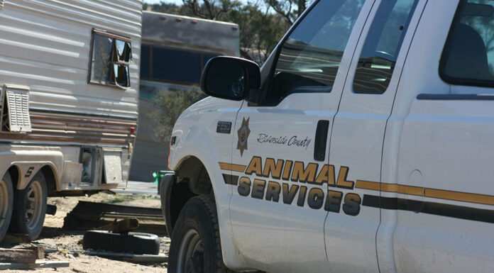 Sheriff’s Blotter