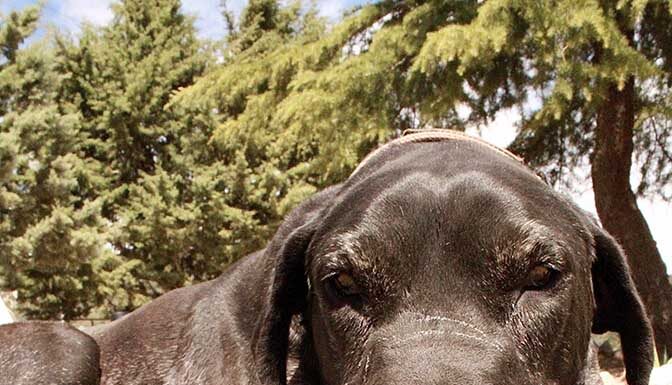 Valley News Photo contest #5 Summer Tails