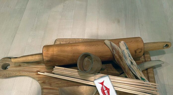 From toothpicks and 2x4s to telephone poles and pencils – all come from trees